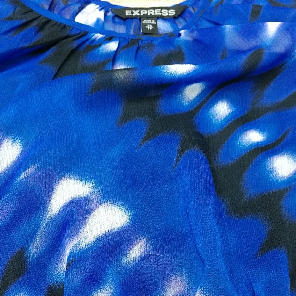 Express Dress - Picture 8 of 8